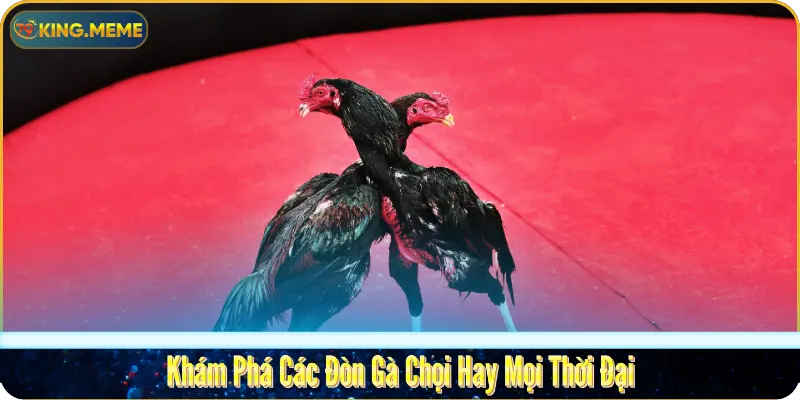 kham-pha-cac-don-ga-choi-hay-moi-thoi-dai
